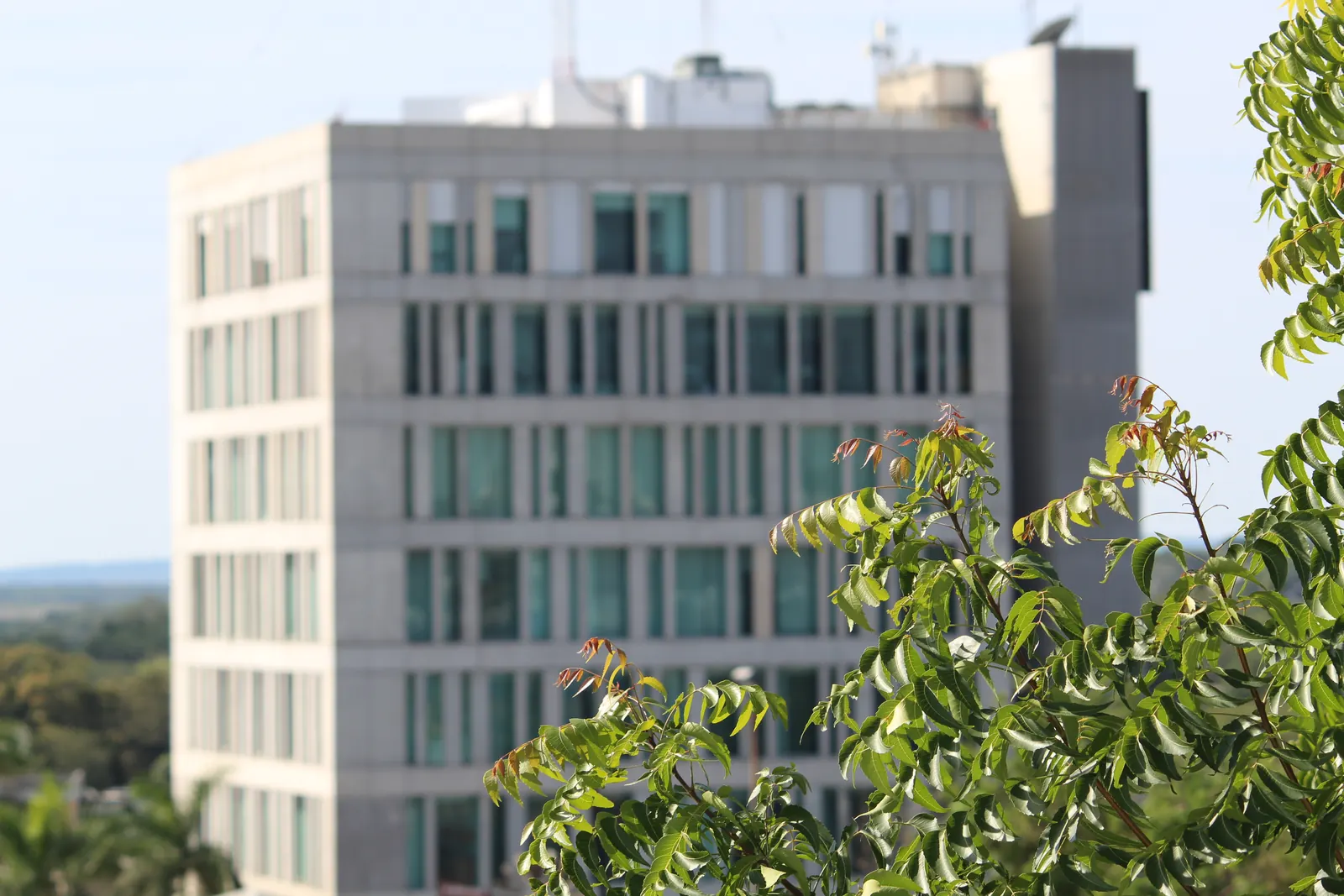 Fachada del Edificio Altus, corporativo de ocho niveles sobre Av. Hidalgo